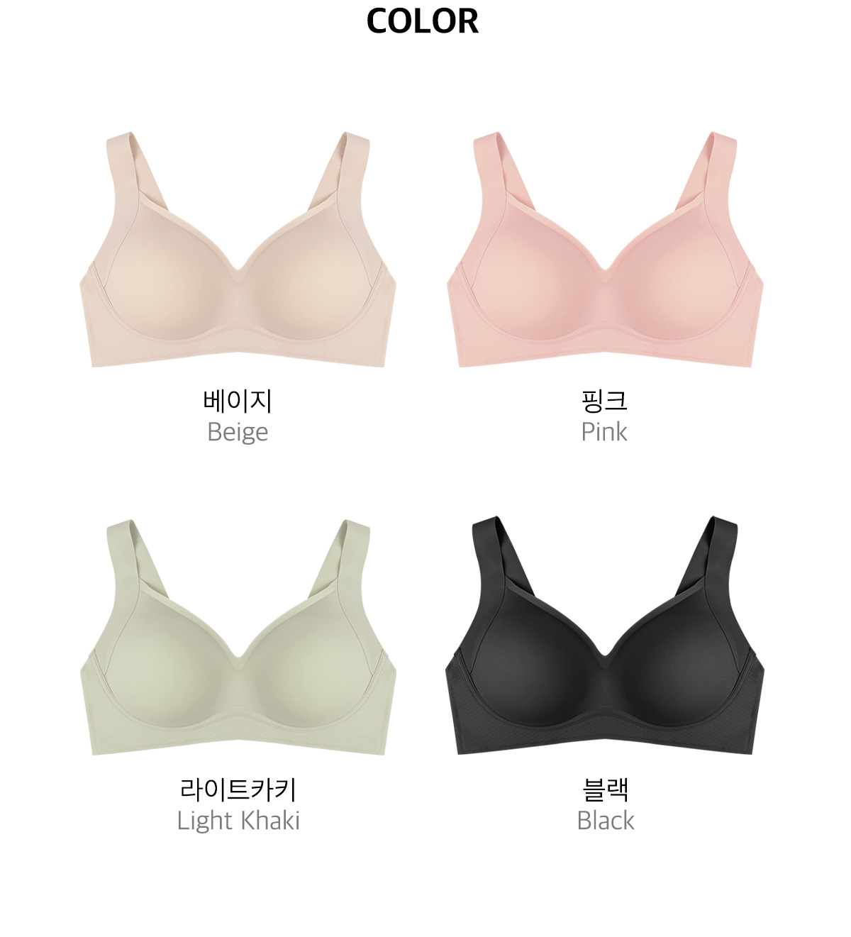 2cm 도로시 브라