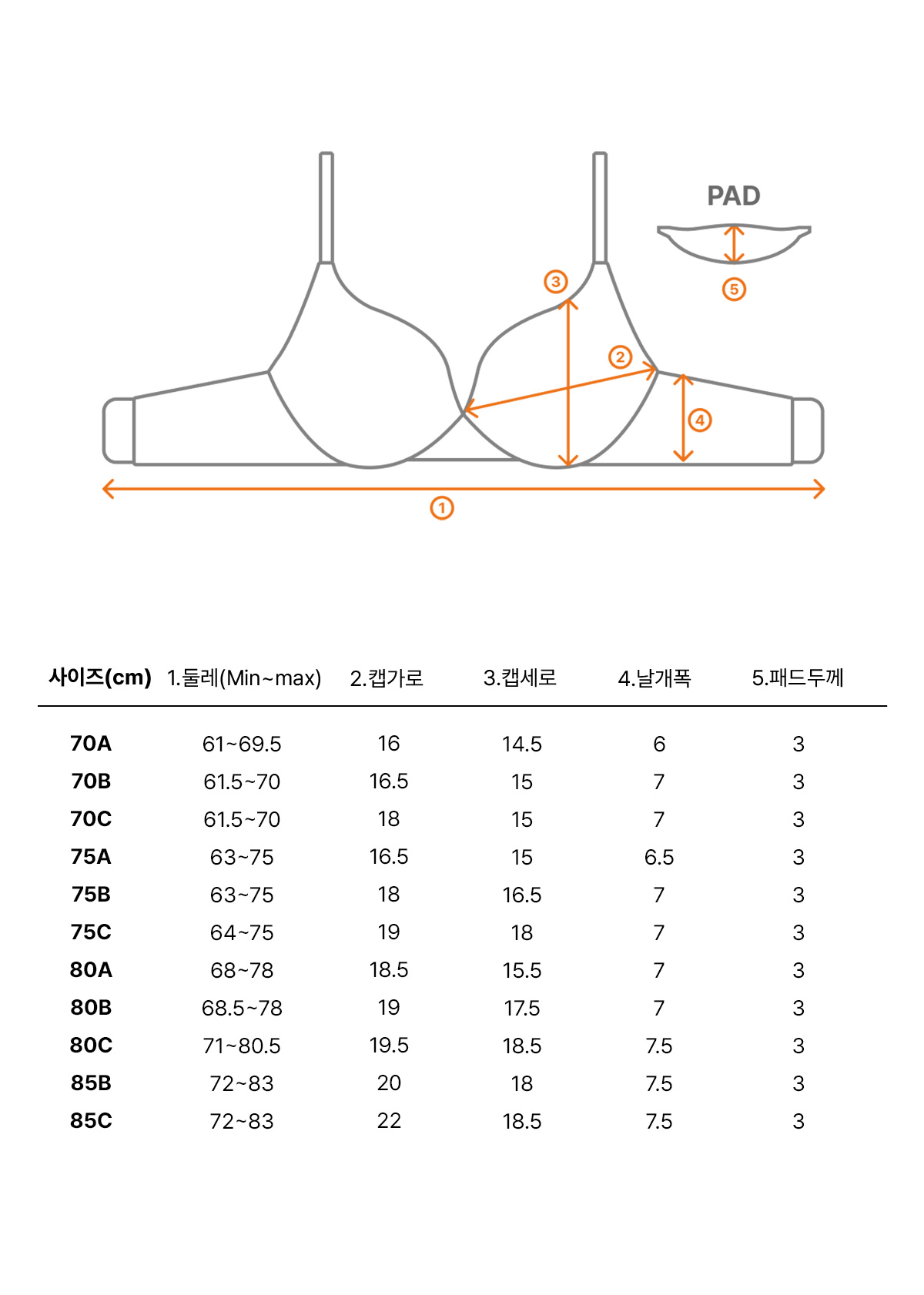 필러브라 세이지 세트