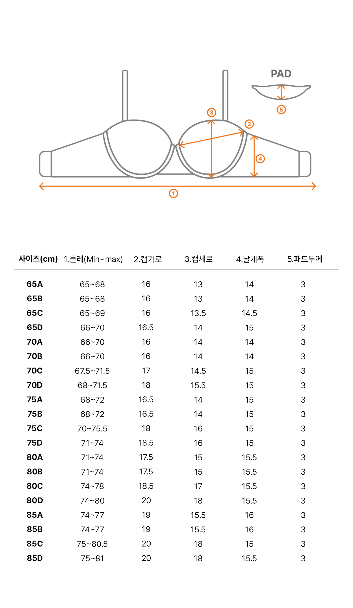 필러브라 클레어 세트