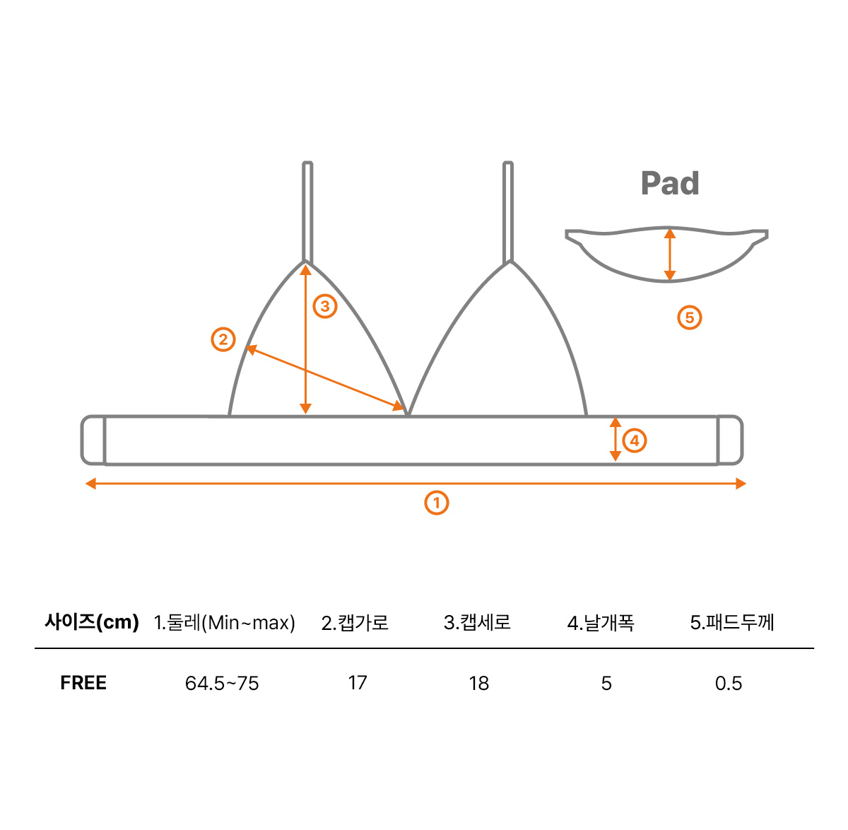 레이나 브라렛 세트