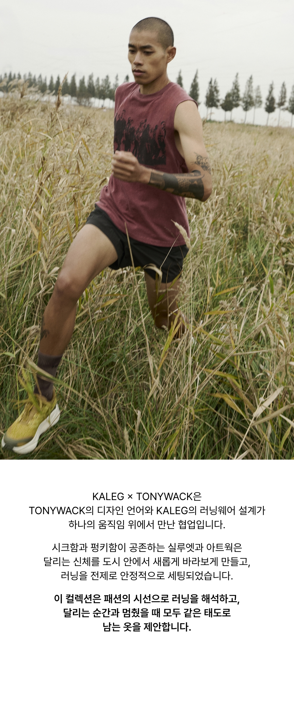 TW 그래픽 슬리브리스