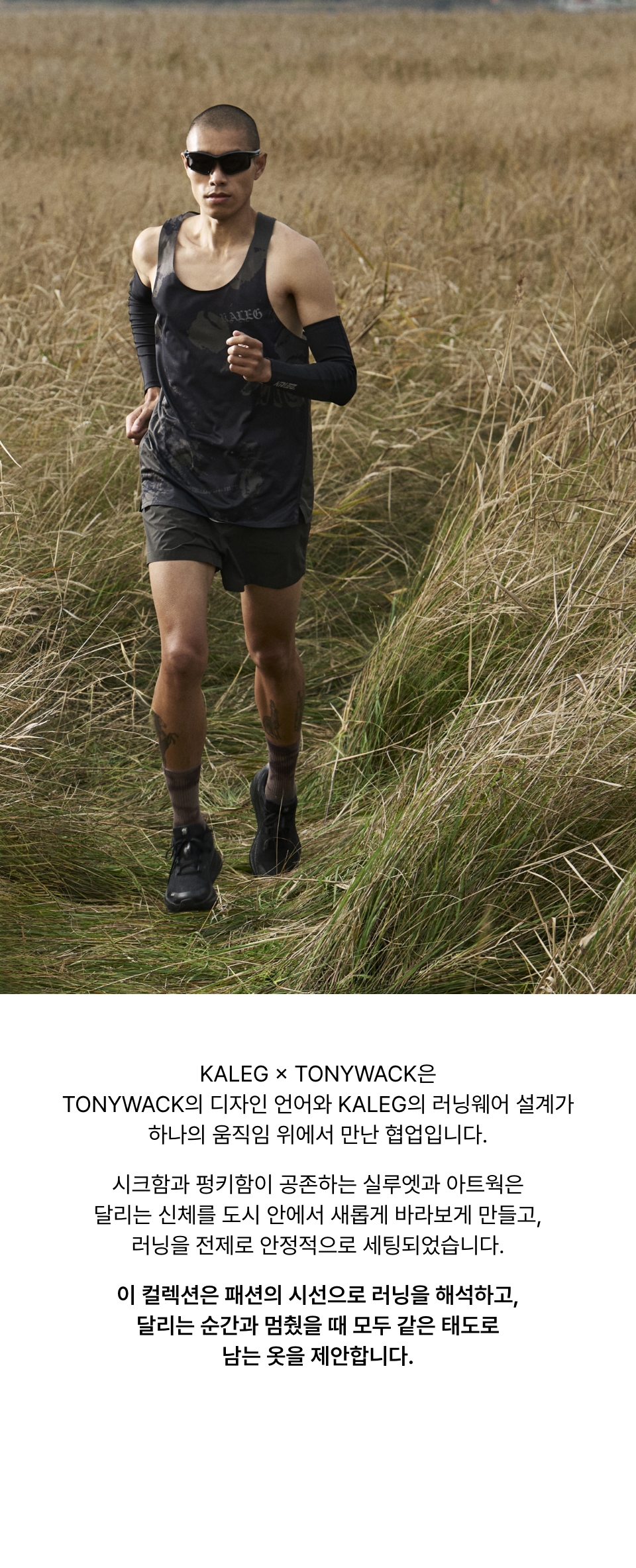 TW 다잉 크루 삭스